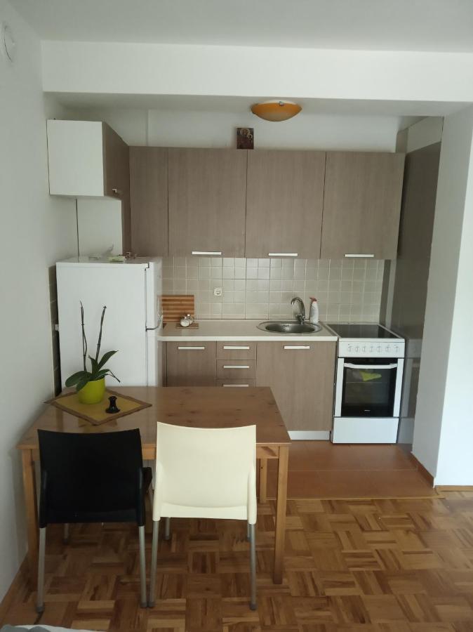 Apartmen Damjan Ohrid Extérieur photo